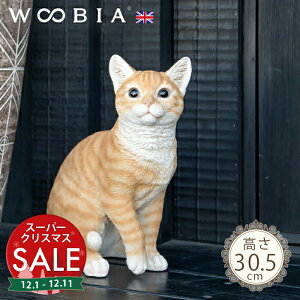 yX[p[Z[ ő10%OFF z傱ƍɂ񂱁s gL (30.5cm)tk WOOBIA E[rA K[fjO L u qL k  K[fG  K[fjOG 킢 i`