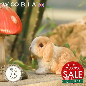 yX[p[Z[ ő13%OFF zȂꎨs AJt@W[bvi7.5cmjtk WOOBIA E[rA K[fjO  u q k  K[fG  K[fjOG