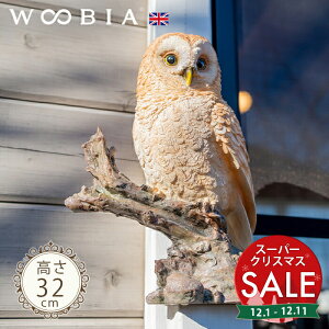 yX[p[Z[ ő10%OFF z؂ɗ܂tNEs  (32cm)tk WOOBIA E[rA K[fjO u ӂ낤 JX悯 悯 悯 k  K[fG  K[fjOG