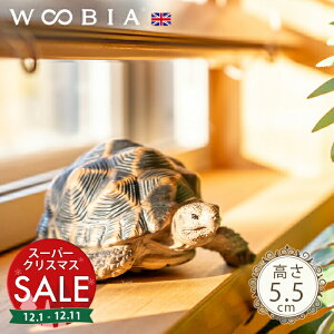 yX[p[Z[ ő10%OFF zOTs zVK (5.5cm)tk WOOBIA E[rA K[fjO u  T J k  K[fG  K[fjOG 킢 i` 