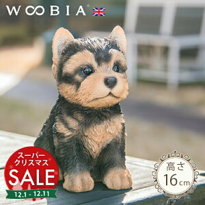 yX[p[Z[ ő10%OFF z傱ƍ񂱁s [NV[eA (12cm)tk WOOBIA E[rA K[fjO  u q k  K[fG  K[fjOG 킢