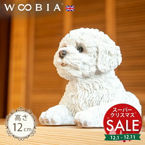 yX[p[Z[ ő10%OFF z񂱁s rVt[[ (12cm)tk WOOBIA E[rA K[fjO  u q k  K[fG  K[fjOG 킢 i`