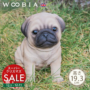 yX[p[Z[ ő10%OFF z傱ƍ񂱁s pO (19.3cm)tk WOOBIA E[rA K[fjO  u q k  K[fG  K[fjOG 킢  A