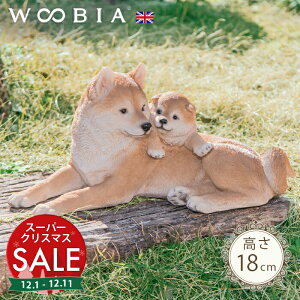 yX[p[Z[ ő10%OFF zǂeq̂񂱁s Č (13.8cm)tk WOOBIA E[rA K[fjO  u q k  K[fG  K[fjOG 킢  A 