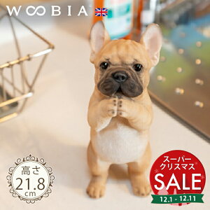 yX[p[Z[ ő10%OFF z˂肷񂱁s t`uhbO (21.8cm)tk WOOBIA E[rA K[fjO  u q k  K[fG  K[fjOG 킢 