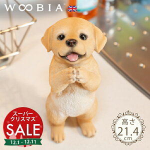 yX[p[Z[ ő10%OFF z˂肷񂱁s uh[go[ (21.4cm)tk WOOBIA E[rA K[fjO  u q k  K[fG  K[fjOG 