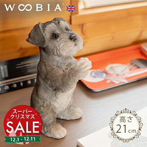 yX[p[Z[ ő10%OFF z˂肷񂱁s ViEU[ (21cm)tk WOOBIA E[rA K[fjO  u q k  K[fG  K[fjOG 킢 i`