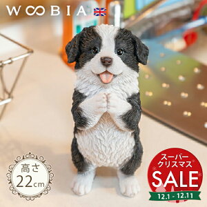 yX[p[Z[ ő10%OFF z˂肷񂱁s {[_[R[ (22cm)tk WOOBIA E[rA K[fjO  u q k  K[fG  K[fjOG 킢 i`