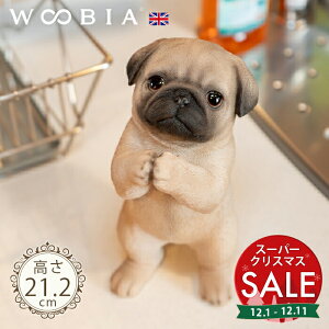 yX[p[Z[ ő10%OFF z˂肷񂱁s pO (21.2cm)tk WOOBIA E[rA K[fjO  u q k  K[fG  K[fjOG 킢  A 