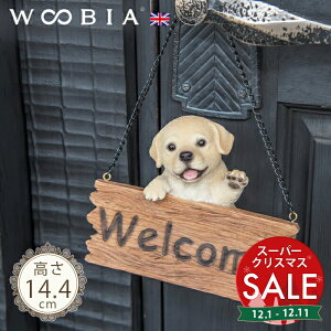 yX[p[Z[ ő10%OFF zEFJv[g񂱁s uh[go[ (14.4cm)tk WOOBIA E[rA EFJ  welcome u K[fjO  u k  K[fG