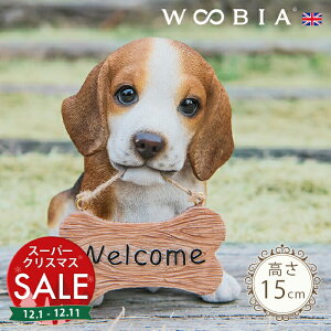 yX[p[Z[ ő10%OFF zo}񂱁s r[O (15cm)tk WOOBIA E[rA EFJ  welcome u K[fjO  u k  K[fG  K[fjOG