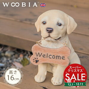 yX[p[Z[ ő10%OFF zo}񂱁s uh[go[ (16cm)tk WOOBIA E[rA EFJ  welcome u K[fjO  u k  K[fG  K