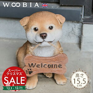 yX[p[Z[ ő10%OFF zo}񂱁s Hc (15.5cm)tk WOOBIA E[rA EFJ  welcome u K[fjO  u k  K[fG  K[fjOG 