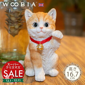 yX[p[Z[ ő10%OFF zŏɂ񂱁s g (16.7cm)tk WOOBIA E[rA L K[fjO L u qL k  K[fG  K[fjOG 킢 i`