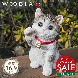 yX[p[Z[ ő10%OFF zEŏɂ񂱁s Tog (16.9cm)tk WOOBIA E[rA L K[fjO L u qL k  K[fG  K[fjOG 킢 i