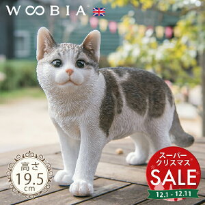 yX[p[Z[ ő10%OFF zOɂ񂱁s Tog (19.5cm)tk WOOBIA E[rA K[fjO L u qL ˂ lR k  K[fG  K[fjOG 킢 i`