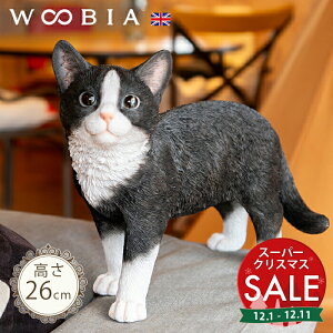 yX[p[Z[ ő10%OFF zOɂ񂱁s n` (26cm)tk WOOBIA E[rA K[fjO L u qL ˂ lR k  K[fG  K[fjOG 킢 i`