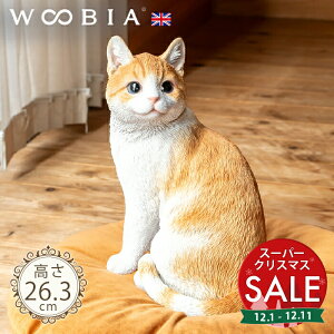 yX[p[Z[ ő10%OFF zČɂ񂱁s g (26.3cm)tk WOOBIA E[rA K[fjO L u qL ˂ lR k  K[fG  K[fjOG 킢