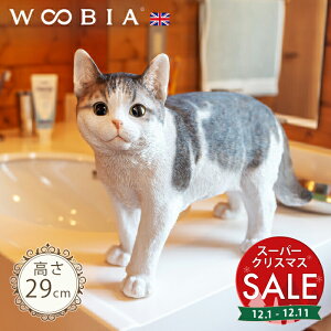 yX[p[Z[ ő10%OFF zOɂ񂱁s Tog (29cm)tk WOOBIA E[rA K[fjO L u qL ˂ lR k  K[fG  K[fjOG 킢 i`