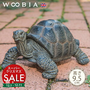 yX[p[Z[ ő10%OFF zOJs ]EK (9.5cm)tk WOOBIA E[rA K[fjO u  T J k  K[fG  K[fjOG 킢 i` 