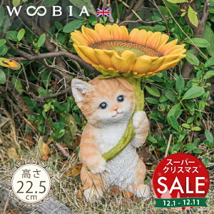 yX[p[Z[ ő10%OFF zЂ܂̎Pɂ񂱁s gi22.5cmjtk WOOBIA E[rA L lR ˂ qL eL  u u   K[f K[fjO I[ig 