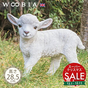 yX[p[Z[ ő10%OFF zオqrs zCgi28.5cmjtk WOOBIA E[rA K[fjO u  r  Ђ qcW V[v  u u   K[f I[i