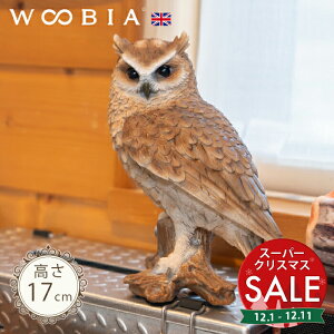 yX[p[Z[ ő10%OFF z؂芔ɗ܂tNEs i17cmjtk WOOBIA E[rA K[fjO u ӂ낤 x_  k  K[fG  K[fjOG 