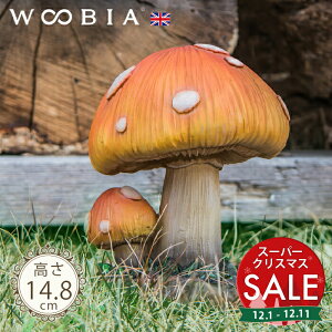 yX[p[Z[ ő10%OFF z2ÃIWLmRs xjeO^Pi14.8cmjtk WOOBIA E[rA K[fjO u LmR ̂  }bV[  u u   K[f