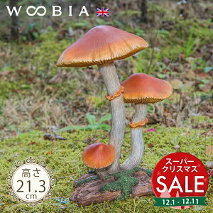 yX[p[Z[ ő10%OFF z3ALmRs qAWKTi21.3cmjtk WOOBIA E[rA K[fjO u LmR ̂  }bV[  u u   K[f K[fj