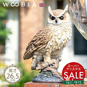 yX[p[Z[ ő10%OFF z؂ɗ܂~~YNsؓpi26.5cmjtk WOOBIA E[rA K[fjO u ӂ낤 JX Q k  K[fG  K[fjOG 킢 