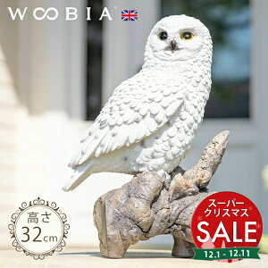 yX[p[Z[ ő10%OFF z؂ɗ܂VtNEsi32cmjtk WOOBIA E[rA K[fjO u  ӂ낤 悯 Q΍ k  K[fG  K[fjOG