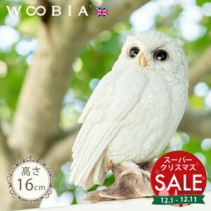 yX[p[Z[ ő10%OFF z}ɗ܂V~~YN̎qsؓpi16cmjtk WOOBIA E[rA K[fjO u  ӂ낤 ΍ JX΍ k  K[fG  G