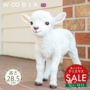 yX[p[Z[ ő10%OFF zn߂qrs ri28.5cmjtk WOOBIA E[rA K[fjO u  r qr  Ђ qcW V[v  u u   K[f I[i