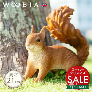 yX[p[Z[ ő10%OFF zXs L^Xi21cmjtk WOOBIA E[rA K[fjO X 肷 u  k  K[fG  K[fjOG 킢 