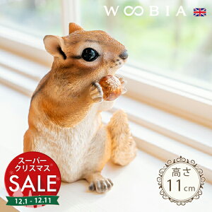 yX[p[Z[ ő10%OFF zǂ񂮂Xs V}Xi11cmjtk WOOBIA E[rA K[fjO X 肷 u  k  K[fG  K[fjOG 킢 