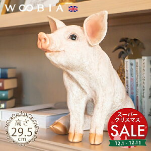 yX[p[Z[ ő10%OFF z𑵂Ă肷qu^s ~ju^i29.5cmjtk WOOBIA E[rA K[fjO u  Ԃ  q e sbN  u u   K[f