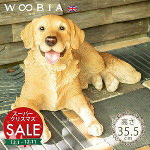 yX[p[Z[ ő10%OFF zɂȂď΂Ă񂱁s S[fgo[ 35.5cmtk WOOBIA E[rA K[fjO   Ck u k  K[fG  K[fjOG