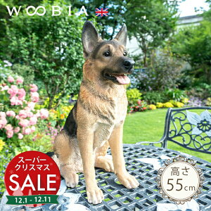 yX[p[Z[ ő10%OFF z肵ď΂Ă񂱁s W[}VFp[h 55cmtk WOOBIA E[rA K[fjO   Ck u x@ k  K[fG  K[fj