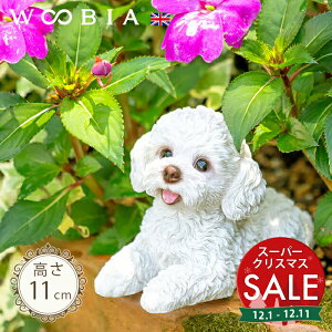 yX[p[Z[ ő10%OFF zČグ񂱁s gCv[h  11cmtk WOOBIA E[rA K[fjO   Ck v[h eB[Jbvv[h zCg u ^ k 