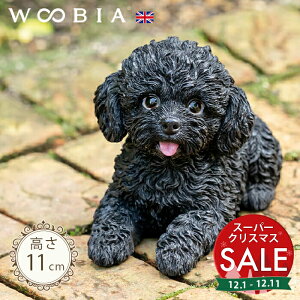 yX[p[Z[ ő10%OFF zČグ񂱁s gCv[h  11cmtk WOOBIA E[rA K[fjO   Ck v[h eB[Jbvv[h ubN u ^ k 