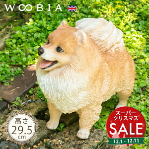 yX[p[Z[ ő10%OFF zオĊԂ񂱁s |jA 29.5cmtk WOOBIA E[rA K[fjO   Ck | u ^ k  K[fG  K[fjO