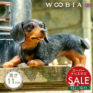 yX[p[Z[ ő10%OFF zVłq̂񂱁s _bNXth 11cmtk WOOBIA E[rA K[fjO   Ck ~j`A _bNXth ~j`A_bNX u ^ q