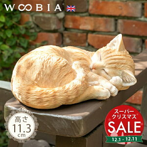 yX[p[Z[ ő10%OFF zC悭ɂ񂱁s gL 11.3cmtk WOOBIA E[rA K[fjO L ˂ lR Ƃ g u A qL eL  K[fG  K