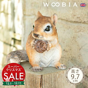 yX[p[Z[ ő10%OFF zڂ郊Xs V}X 9.7cmtk WOOBIA E[rA K[fjO X 肷 V}X Squirrel u A   K[fG  K[fj