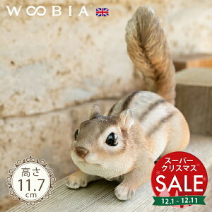 yX[p[Z[ ő10%OFF zɋCÂXs V}X 11.7cmtk WOOBIA E[rA K[fjO X 肷 V}X Squirrel u A   K[fG  K[fj