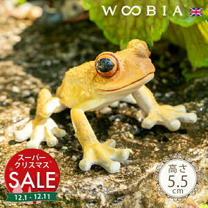 yX[p[Z[ ő10%OFF zځX킢JGs LCA}KG 5.5cmtk WOOBIA E[rA K[fjO JG  ^ tbO u A ঒   K[f