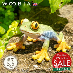 yX[p[Z[ ő10%OFF zځX킢JGs AJA}KG 5.5cmtk WOOBIA E[rA K[fjO JG  ^  u A ঒   K[fG 