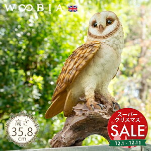 yX[p[Z[ ő10%OFF z؂ɗ܂郁tNEs ʞ 35.8cmtk WOOBIA E[rA K[fjO tNE tNE ӂ낤  IE  ̒u u A  K[f