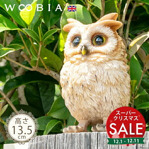 yX[p[Z[ ő10%OFF z傱ƗtNE̎qs gtYN 13.5cmtk WOOBIA E[rA K[fjO tNE ӂ낤  IE  ̒u u A  K[f