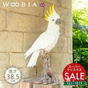 yX[p[Z[ ő10%OFF zfGȃgTJ̃IEs Lo^ 38.5cmtk WOOBIA E[rA K[fjO CR IE I[ RJgD[   ̒u u A  K[f